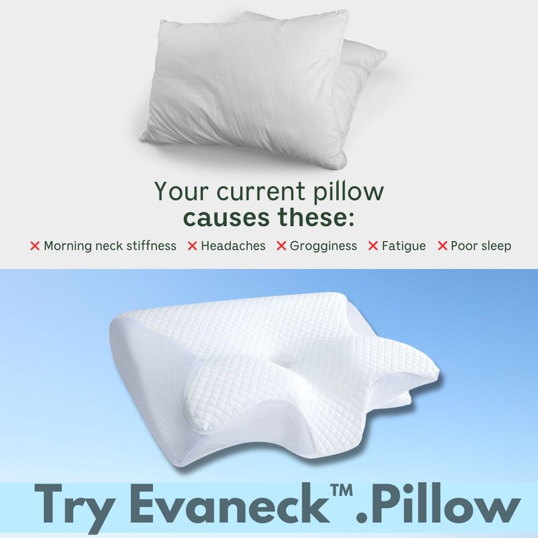 Evaneck™ DreamEase Cervical Support Pillow